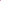 Pink - Net Cap